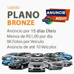 PLANO LOJISTA BRONZE