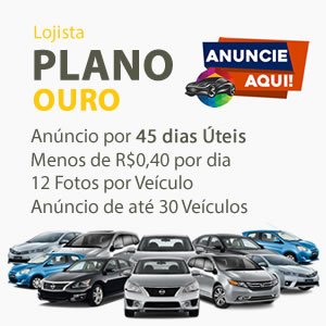 PLANO LOJISTA OURO